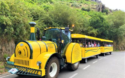 Neue Ilertren in Ribeira Sacra (Galicien)