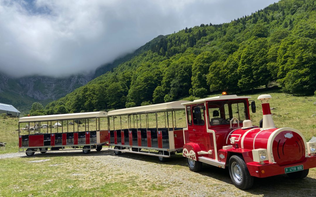 NUEVO ILERTREN ESTE VERANO