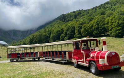 NEUE ILERTREN DIESEN SOMMER
