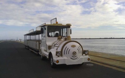 Nuevo tren entregado